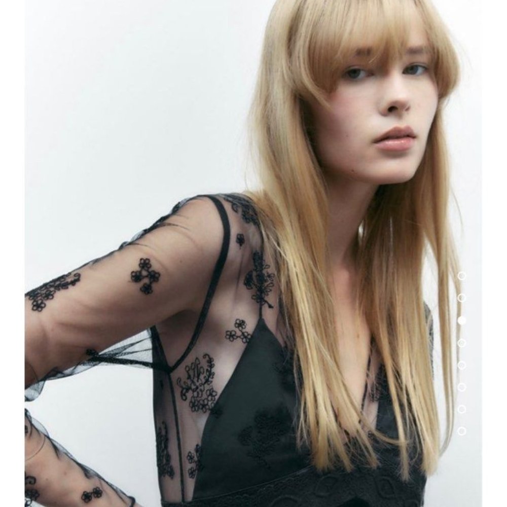 Zara Velvet Trim Dress